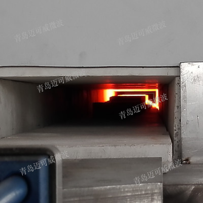 隧道连续式微波高温加热技术