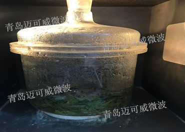 微波萃取制样技术